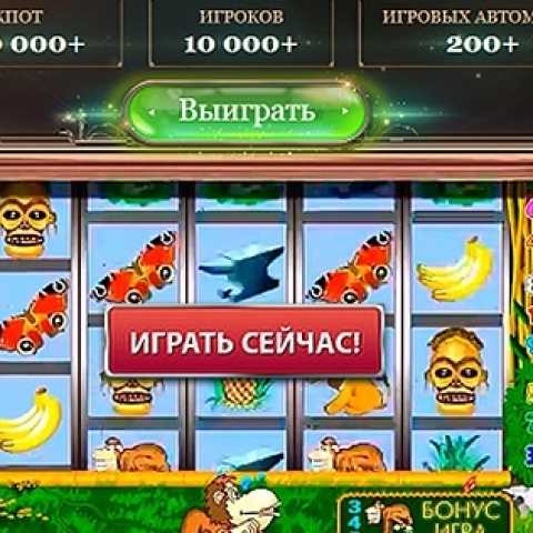 Варианты развода от нечестных игорных домов