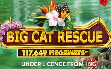 Игровой автомат Big Cat Rescue Megaways