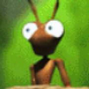 Forest Ant: Муравей