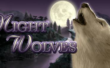 Игровой автомат Night Wolves