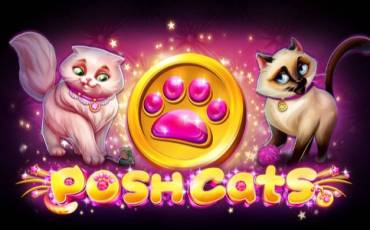 Игровой автомат Posh Cats