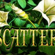 Secrets of the Amazon: Scatter