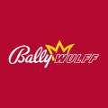 Bally Wulff казино